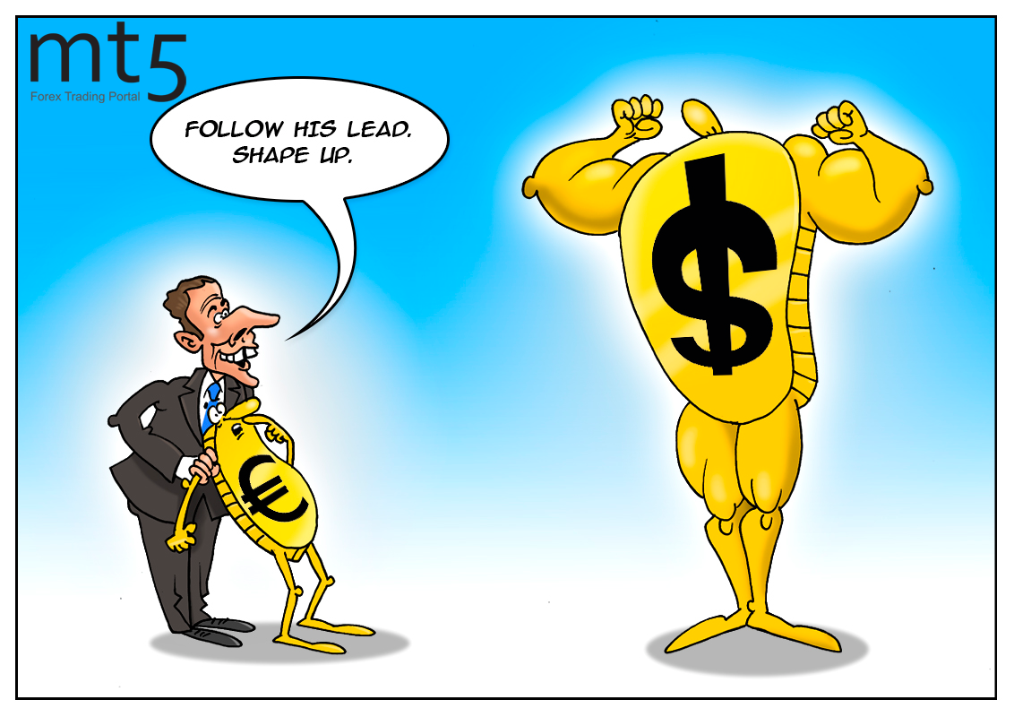 https://forex-images.mt5.com/humor/img5bf3e38c71936.png