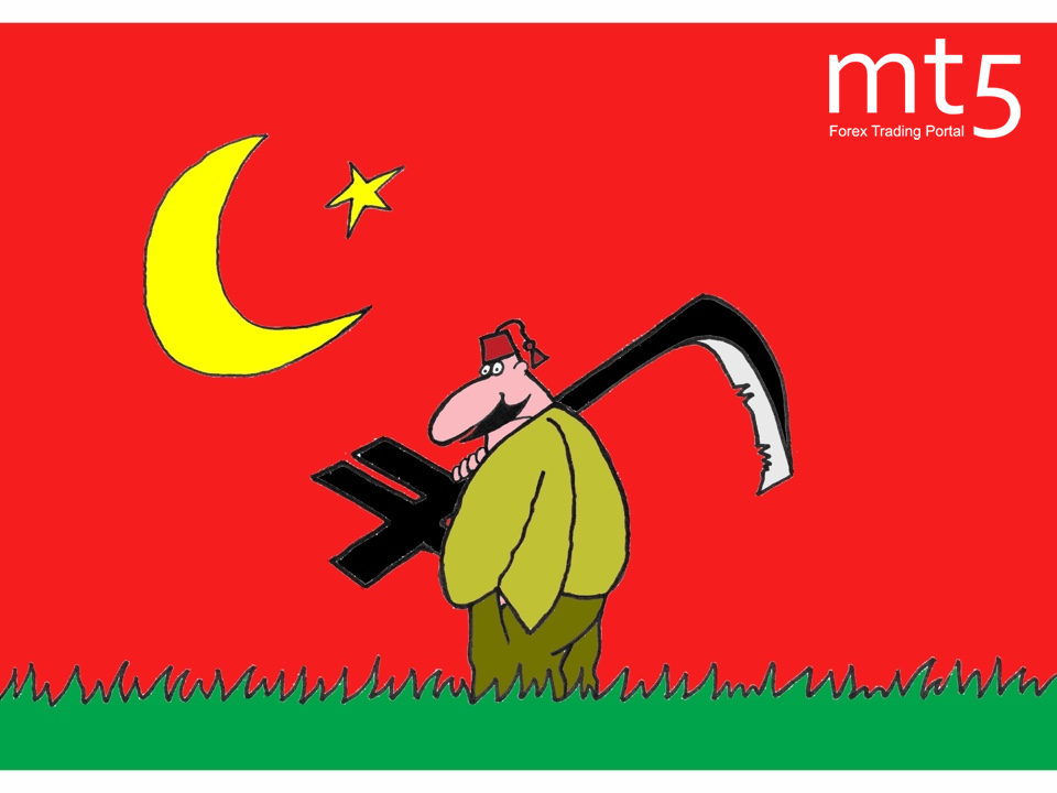 Турецкая лира подешевела на фоне политической нестабильности