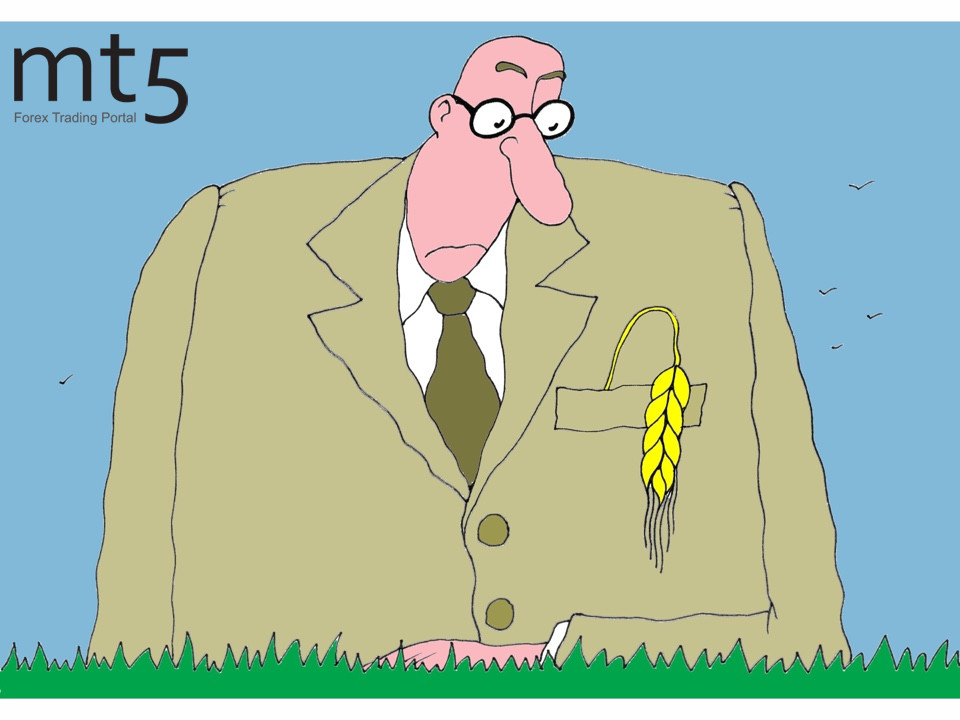 https://forex-images.mt5.com/humor/img5d31a7759a2ef.jpg