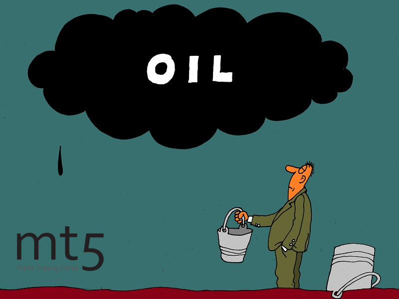 https://forex-images.mt5.com/humor/img5d31da5de453b.jpg