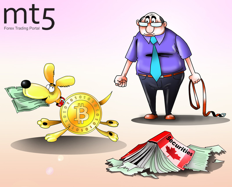 Все законно: криптобиржи Канады будут следовать закону о ценных бумагах