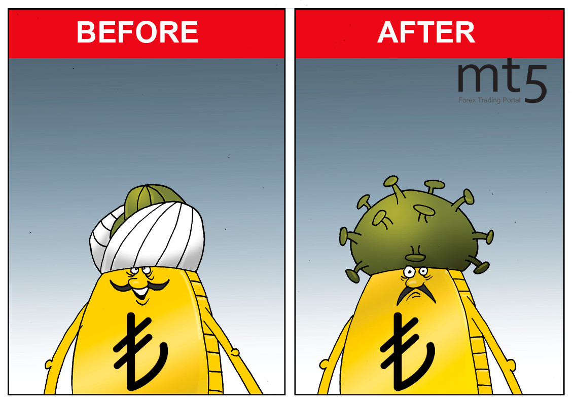 Turkish lira plummets almost 20% in 2020