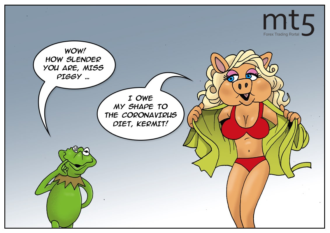 Meat plants closure forces farmers to put hogs on diet