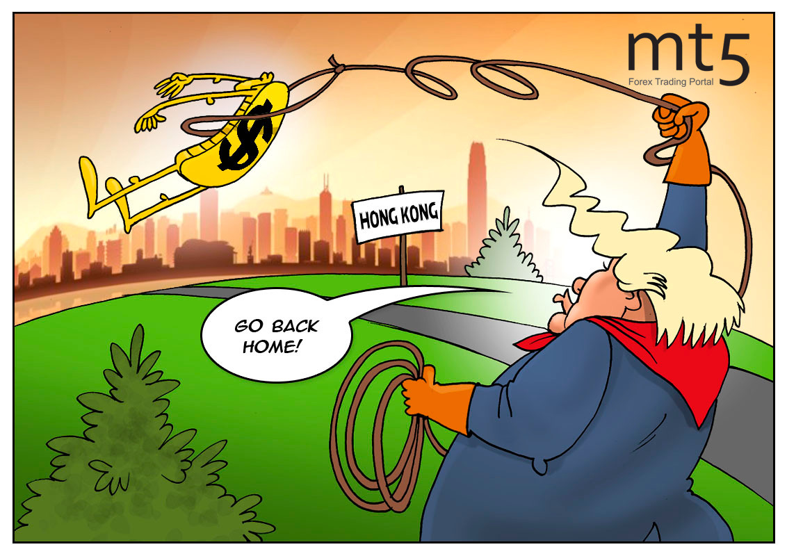 https://forex-images.mt5.com/humor/img5f182b6719cbd.jpg