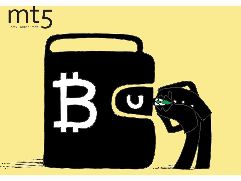 https://forex-images.mt5.com/humor/img5f2d4b18115b0.jpg