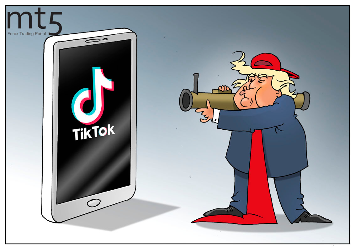 https://forex-images.mt5.com/humor/img5f3564417b07b.jpg