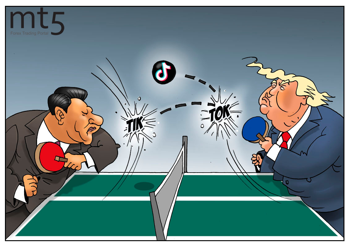 https://forex-images.mt5.com/humor/img5f3d26f2f2f35.jpg