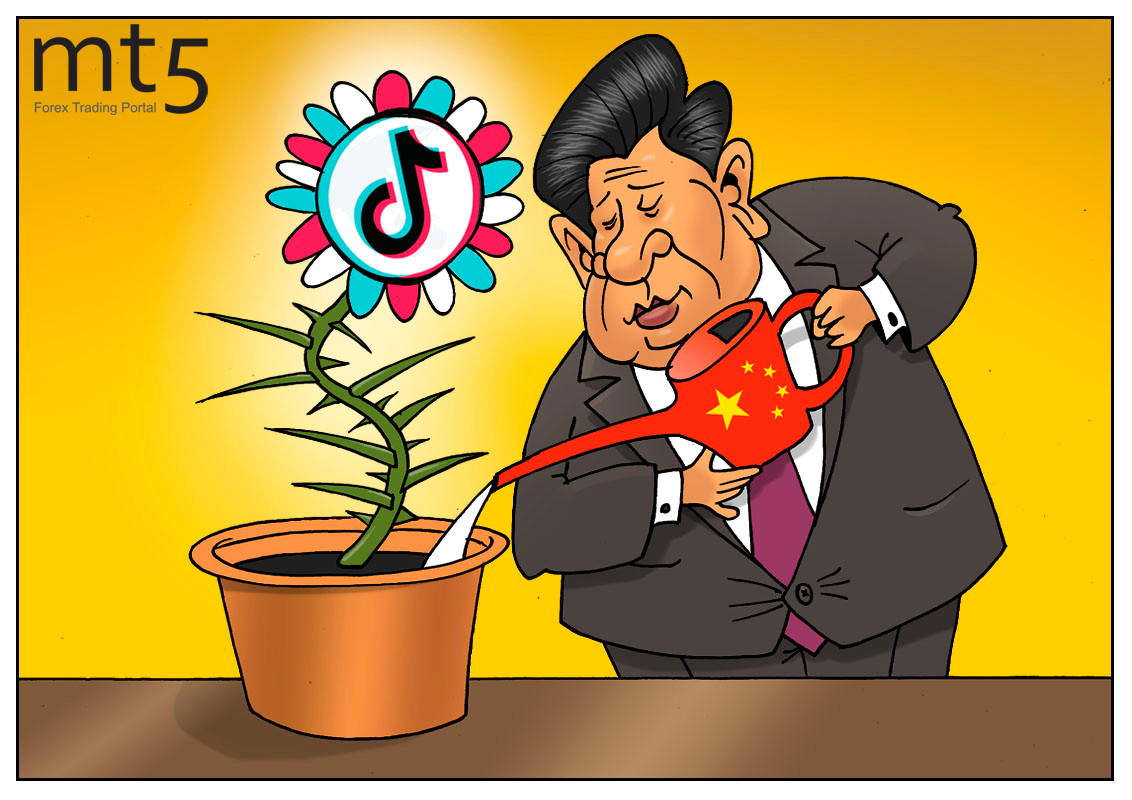 https://forex-images.mt5.com/humor/img5f58c0161597d.jpg