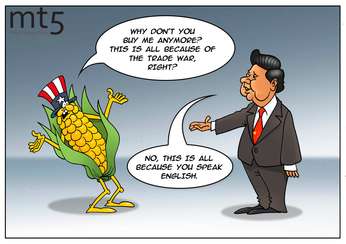 https://forex-images.mt5.com/humor/img5f71e162ac2e9.jpg