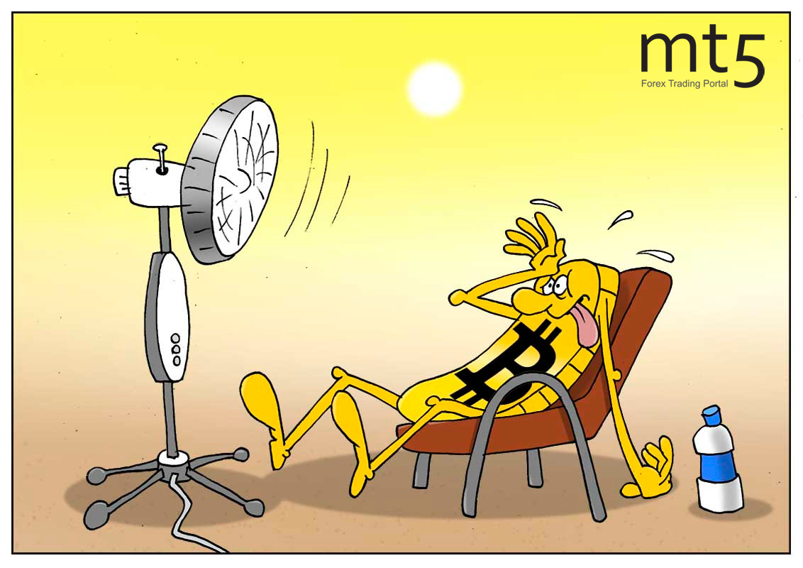 https://forex-images.mt5.com/humor/img5faaa5acd4a17.jpg