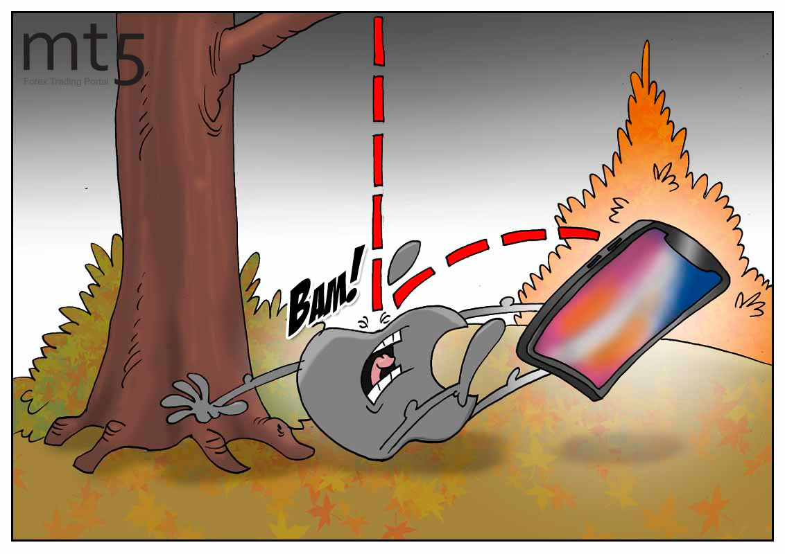 https://forex-images.mt5.com/humor/img5fad66d5d2212.jpg