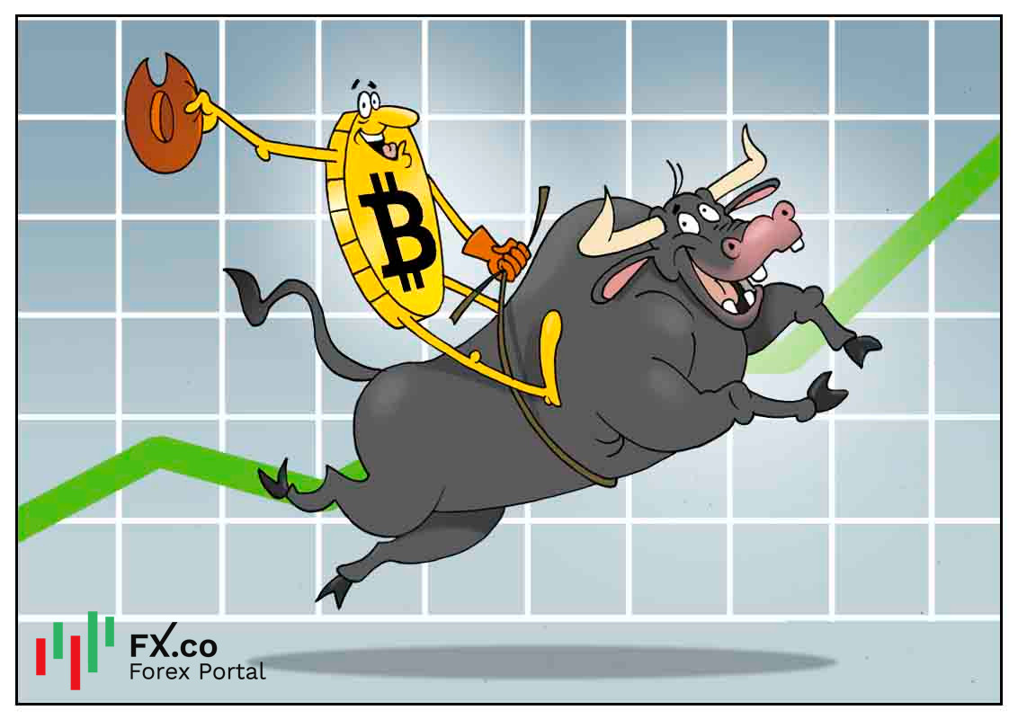 https://forex-images.mt5.com/humor/img5fcfa4a7945ae.jpg