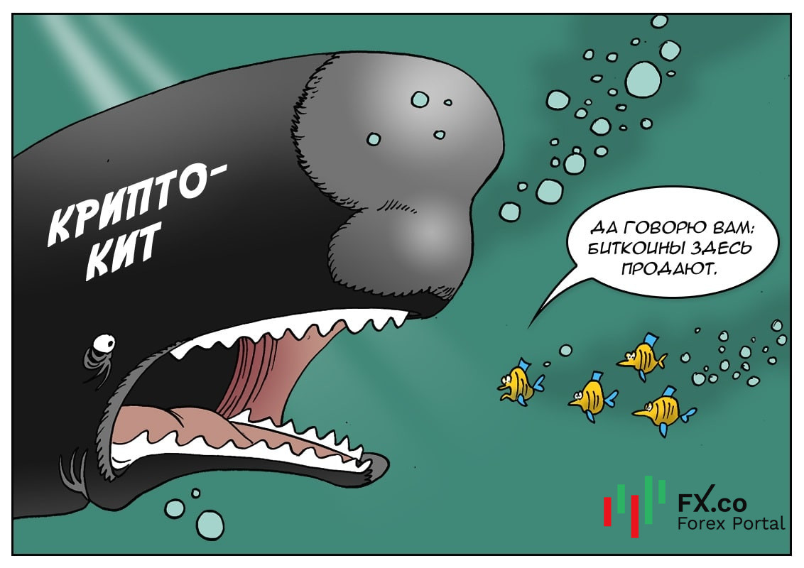 Китам надо совсем немного &mdash; акулу съесть и осьминога