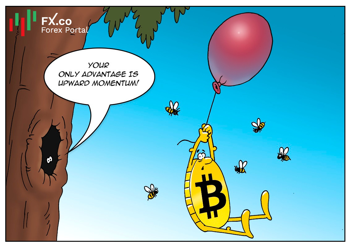 https://forex-images.mt5.com/humor/img606465250ee12.jpg