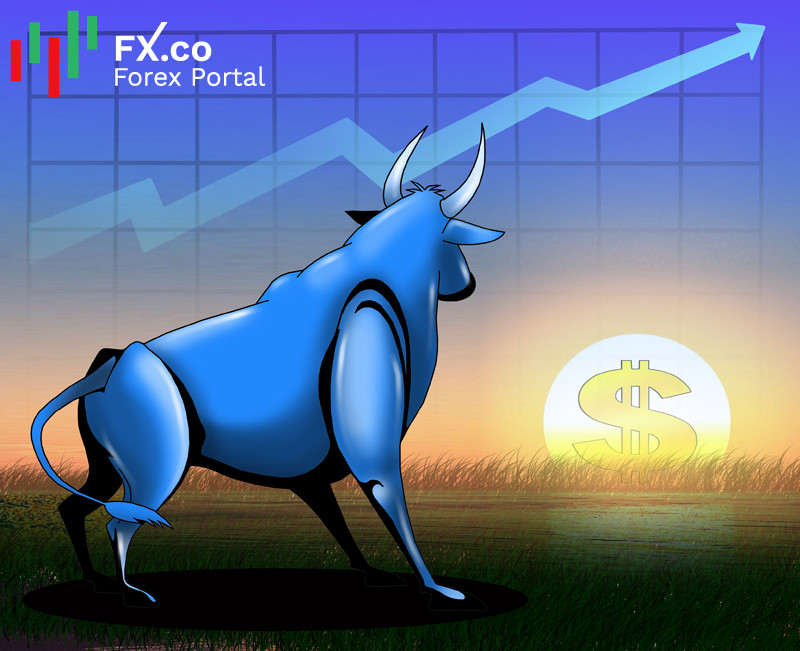 https://forex-images.mt5.com/humor/img608814d5d555a.jpg