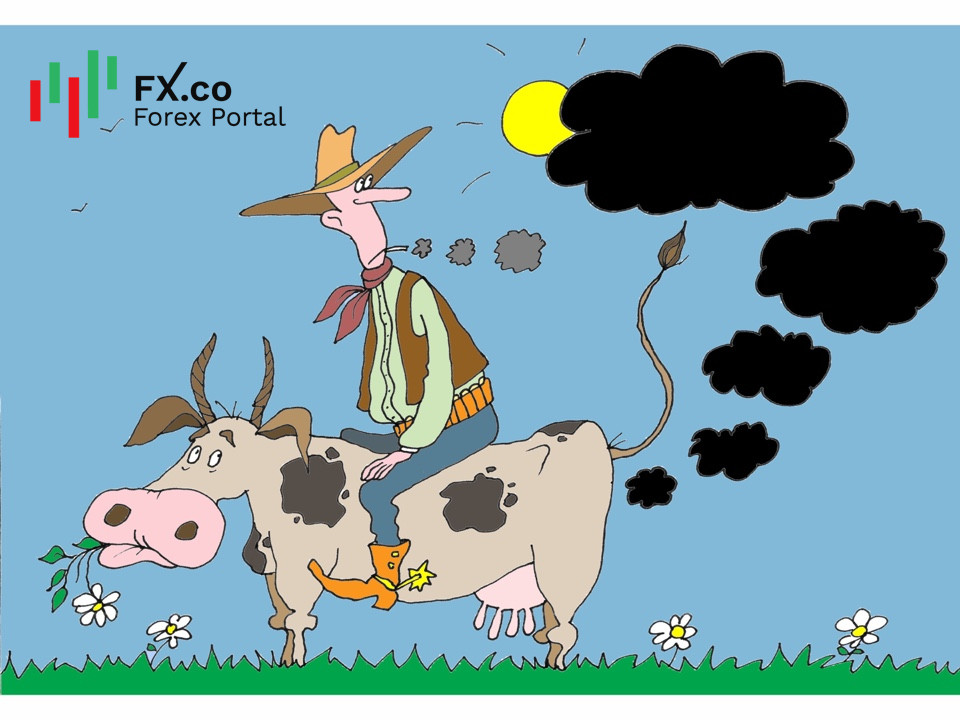 https://forex-images.mt5.com/humor/img60a7b94c9f555.jpg