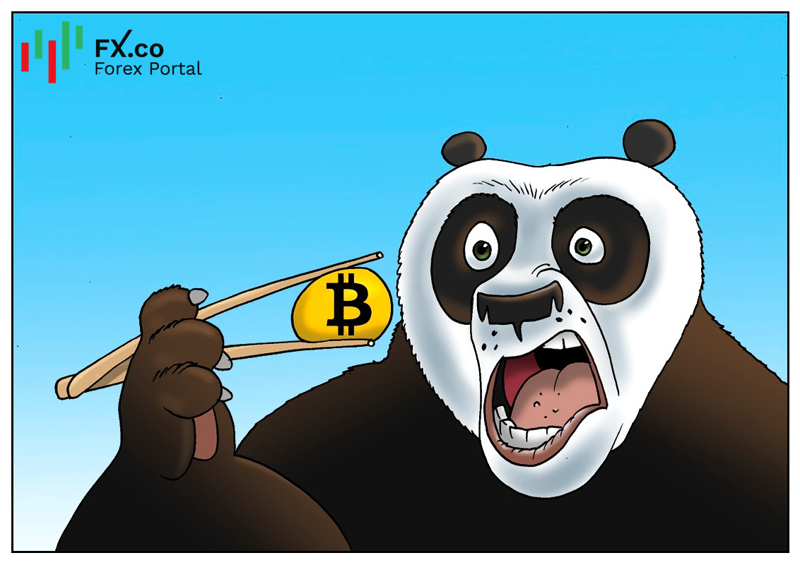 https://forex-images.mt5.com/humor/img60e589e4f67db.jpg