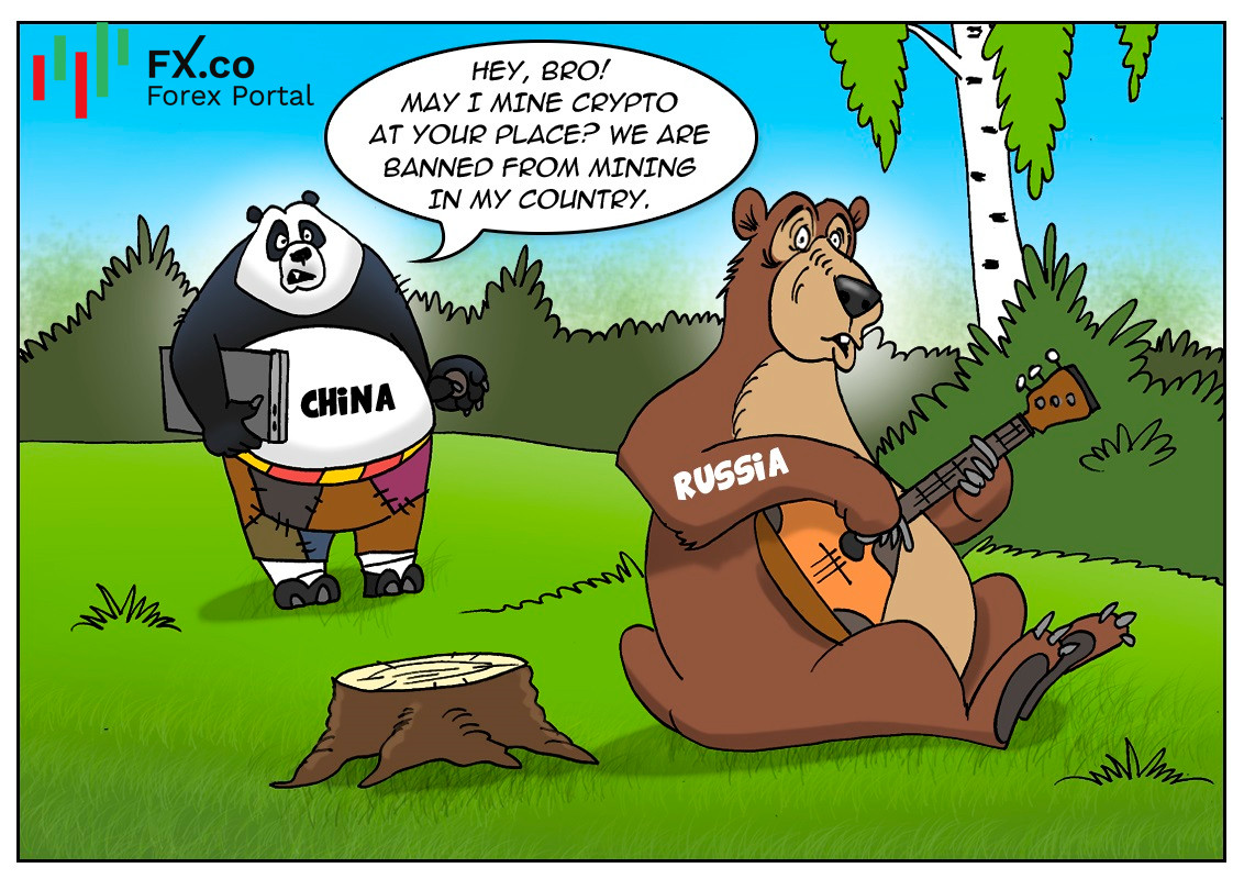 https://forex-images.mt5.com/humor/img60f02f1d89849.jpg