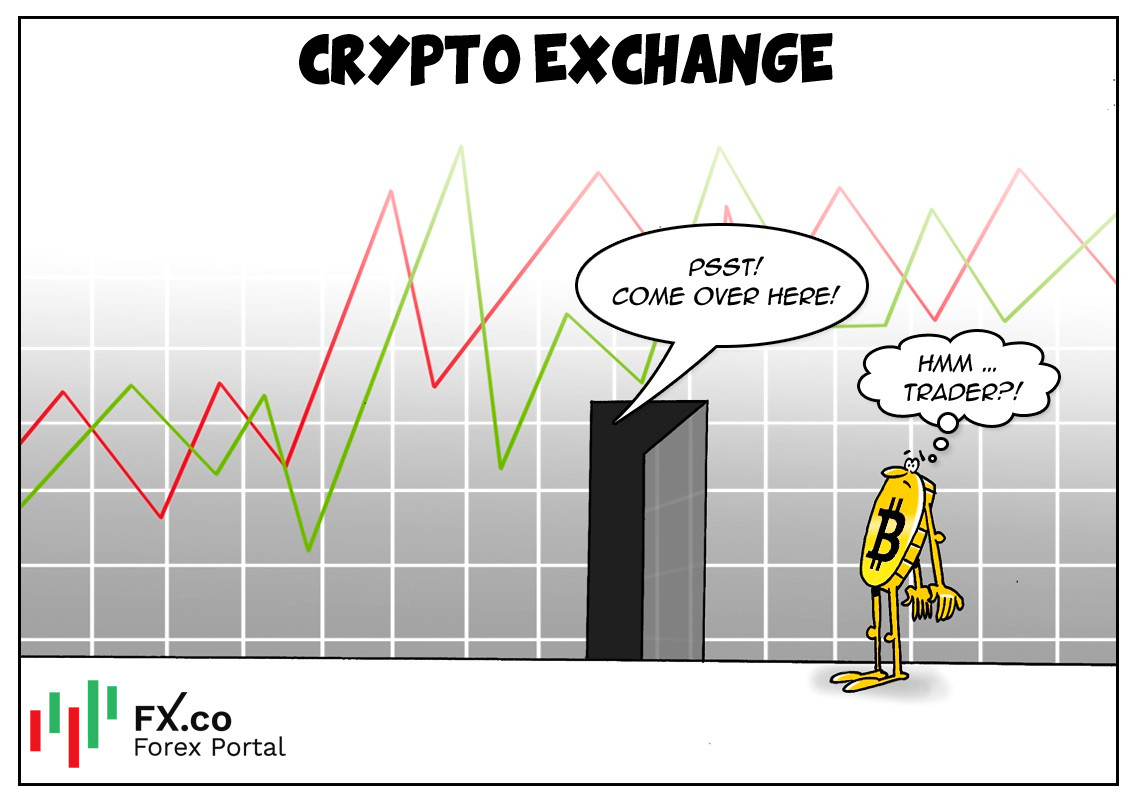 https://forex-images.mt5.com/humor/img61092919a351a.jpg