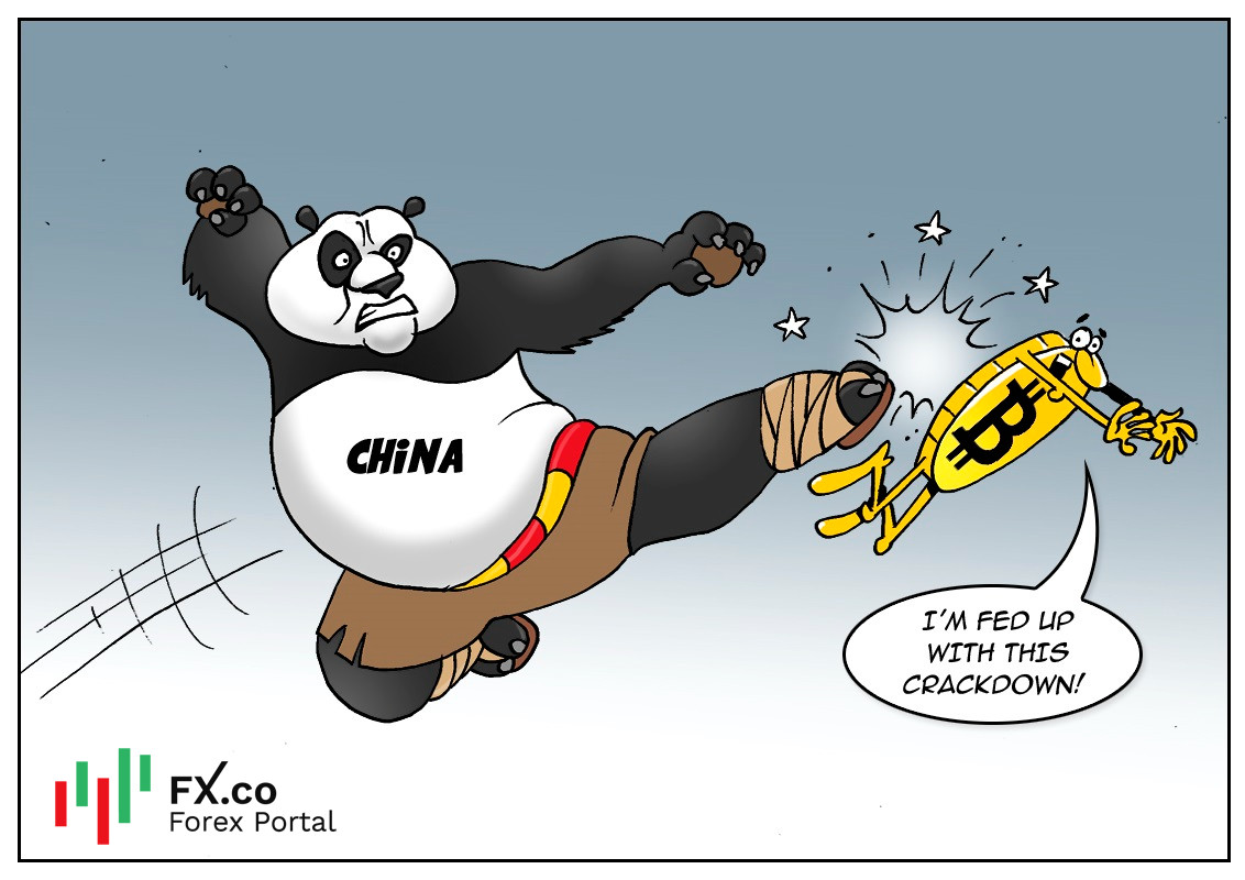 https://forex-images.mt5.com/humor/img610a3828a2a02.jpg