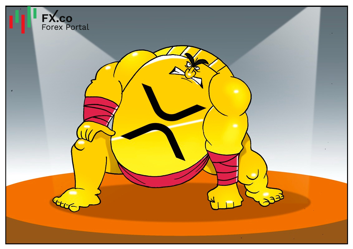 https://forex-images.mt5.com/humor/img611a26234e8ed.jpg