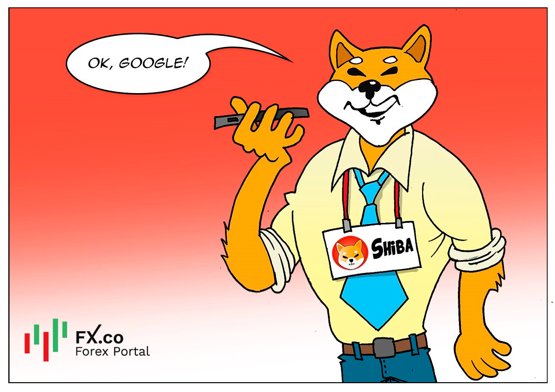 https://forex-images.mt5.com/humor/img618e758dc21e5.jpg