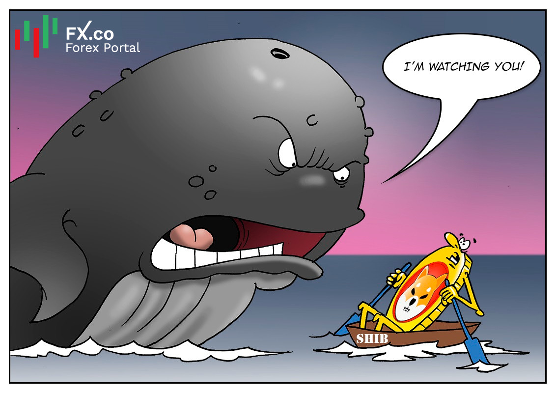 โลกแห่งคริปโตสะพรึงวาฬยักษ์ที่ควบคุมโทเค็นเหรียญ Shiba Inu ไว้ถึง 67%