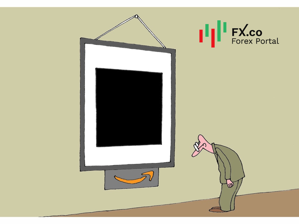 &laquo;Зеленые&raquo; против Amazon: угроза экологии видна со всех сторон!