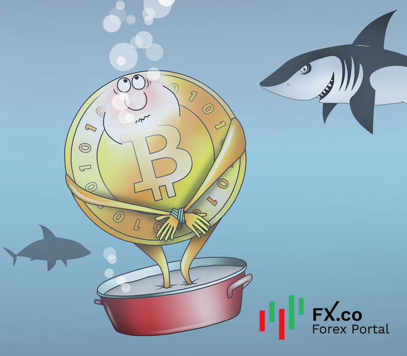 https://forex-images.mt5.com/humor/img6203a94dc7a84.jpg