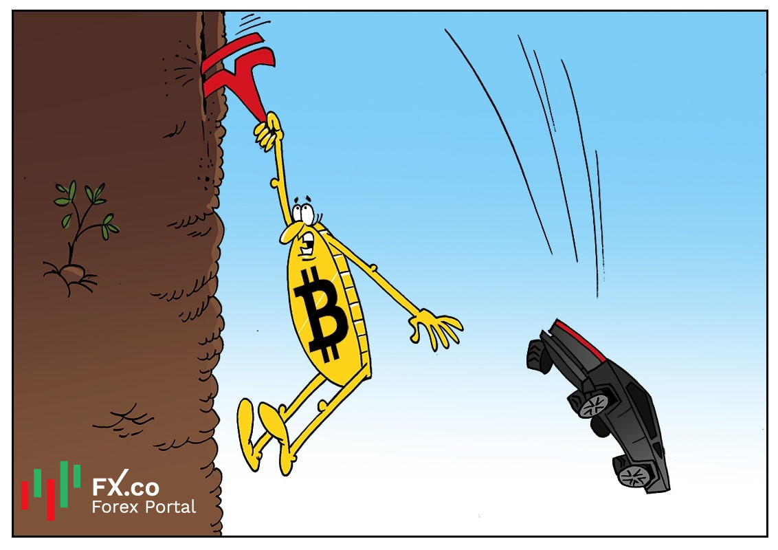 https://forex-images.mt5.com/humor/img62050e45b60d8.jpg