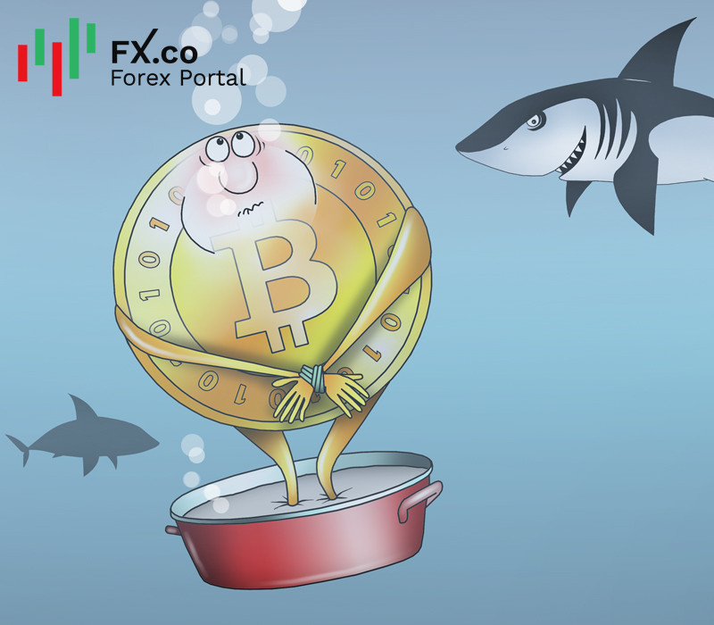 https://forex-images.mt5.com/humor/img6205f24e25a76.jpg