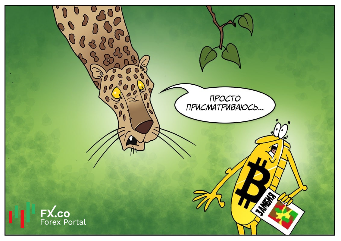 https://forex-images.mt5.com/humor/img620f6bac6ae69.jpg