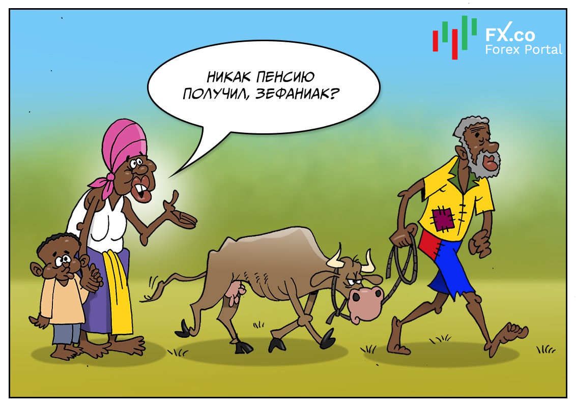 Вышел на пенсию – и будь здоров, вот твое стадо коров
