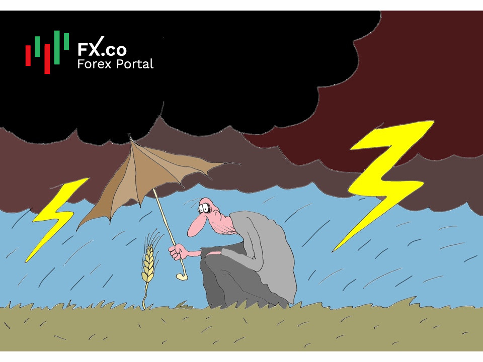 Ураган геополитики губит урожай тоннами! Миллионам голодающих кто придет на помощь?