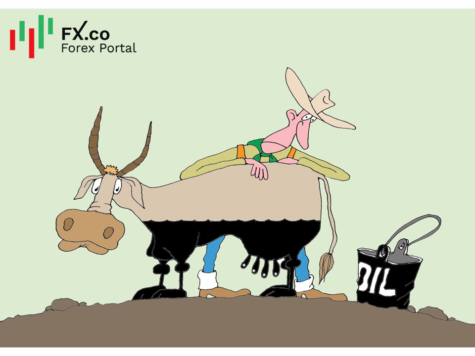 Bloomberg: нефтяные запасы США рискуют уменьшиться до минимального за 40 лет уровня