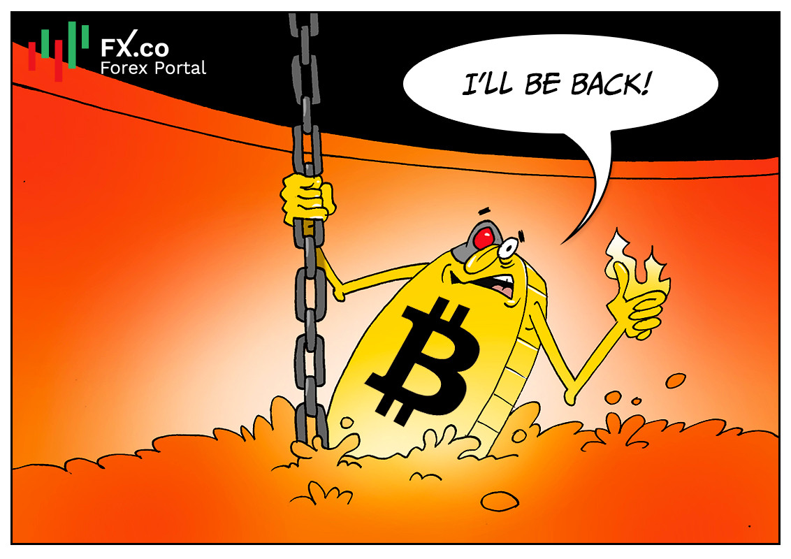 https://forex-images.mt5.com/humor/img62c6e78a7926e.jpg