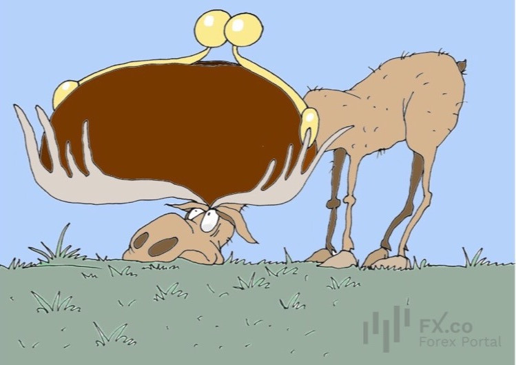 https://forex-images.mt5.com/humor/img63d7650e17cc7.jpeg