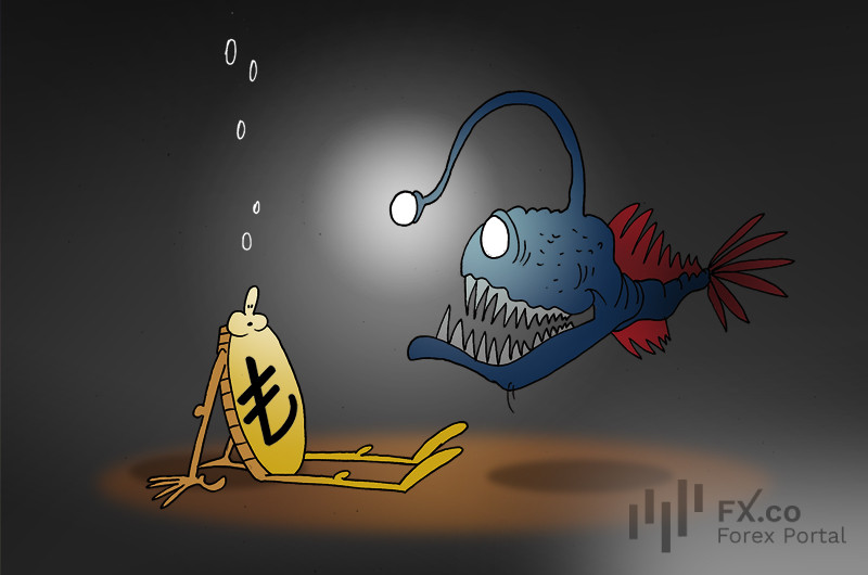 Всем давно понятно, что происходит с курсом &mdash; лира потихоньку превратилась в мусор