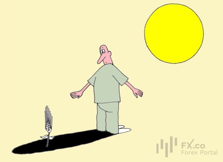 Продовольственная безопасность канула в Лету: засуха и геополитический конфликт губят планету!