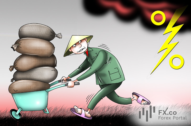 Азия в панике: рис дорожает! Продовольственной безопасности регион лишает!