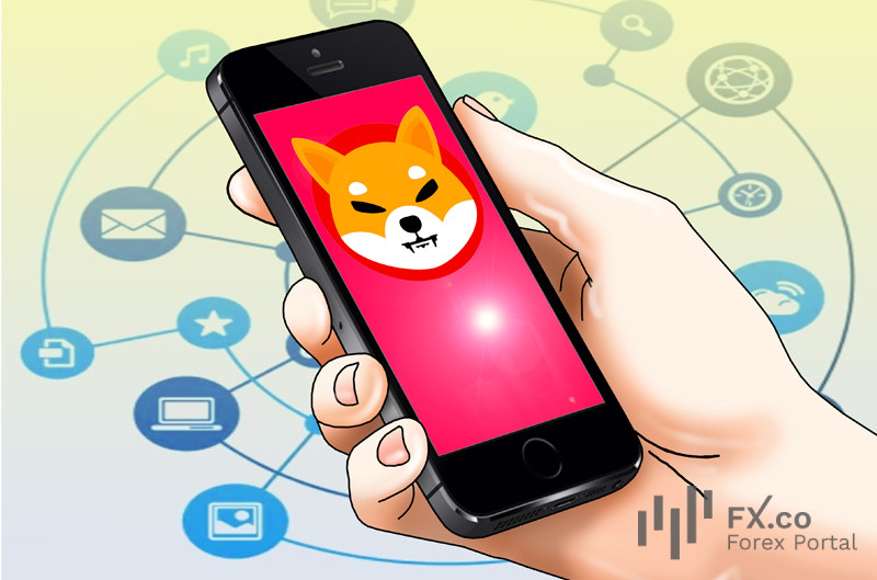 Shiba Inu introduces new service