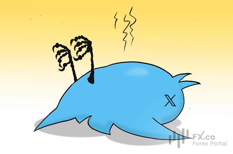 Бывшая Twitter лапки сложила: ее звезда закатилась. Что, Маск, ты решил? Что Twitter, что X &ndash; все безотрадно, а денежные потери масштабны!