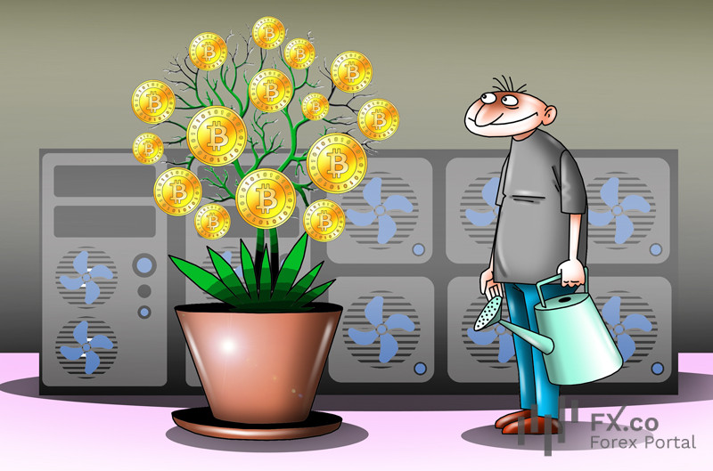Денежное дерево крипторынка растет: капитализация взлетела на 108% за год!
