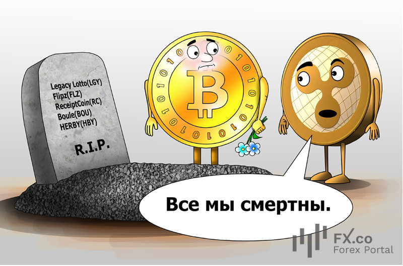 https://forex-images.mt5.com/humor/img65df07aa85e43.jpg