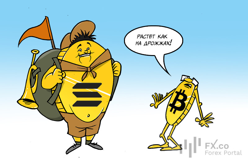 https://forex-images.mt5.com/humor/img65fad775e2bfb.jpg