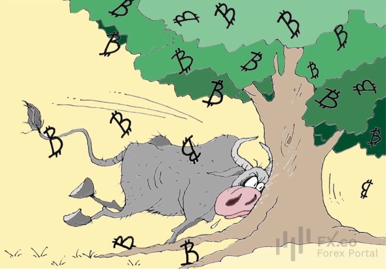 https://forex-images.mt5.com/humor/img660bef6430343.jpeg