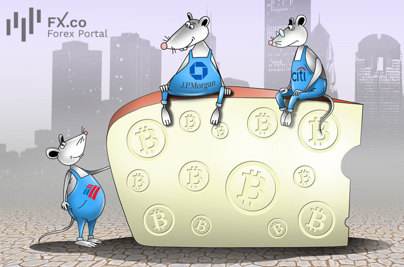 https://forex-images.mt5.com/humor/img68403275a2910.jpg