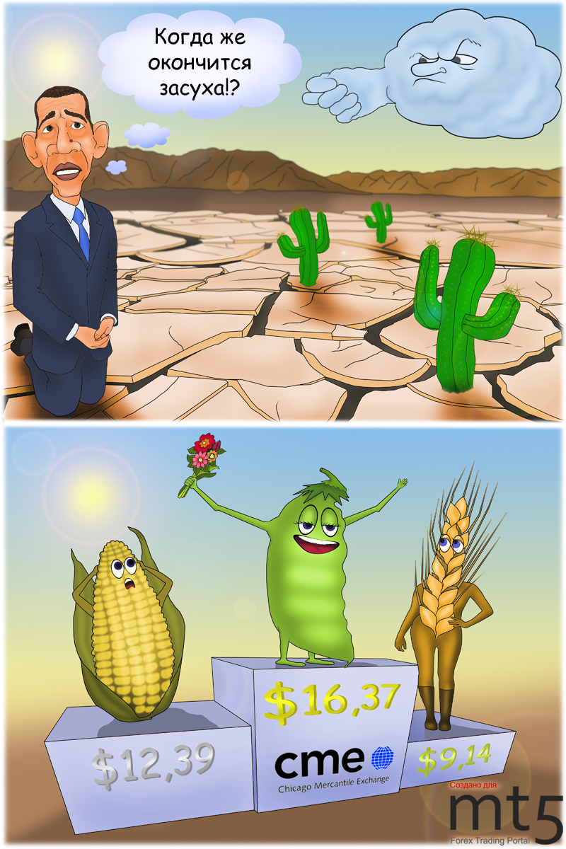 Цены на сою достигли исторического максимума