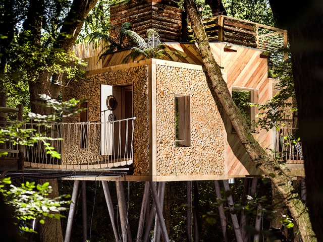 The most expensive tree house 