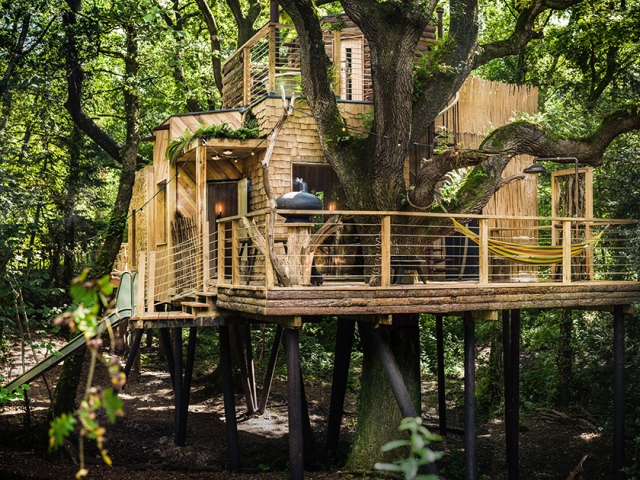 The most expensive tree house 